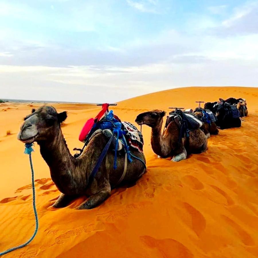 Bedouin Desert Camp Merzouga Exterior photo
